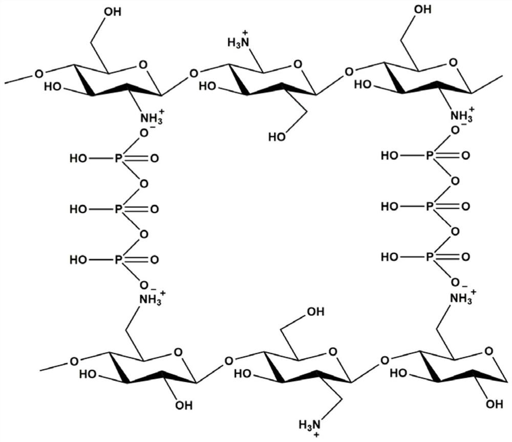 A chitosan microsphere-loaded nano-silver antibacterial polypropylene material, composite antibacterial agent and preparation method thereof