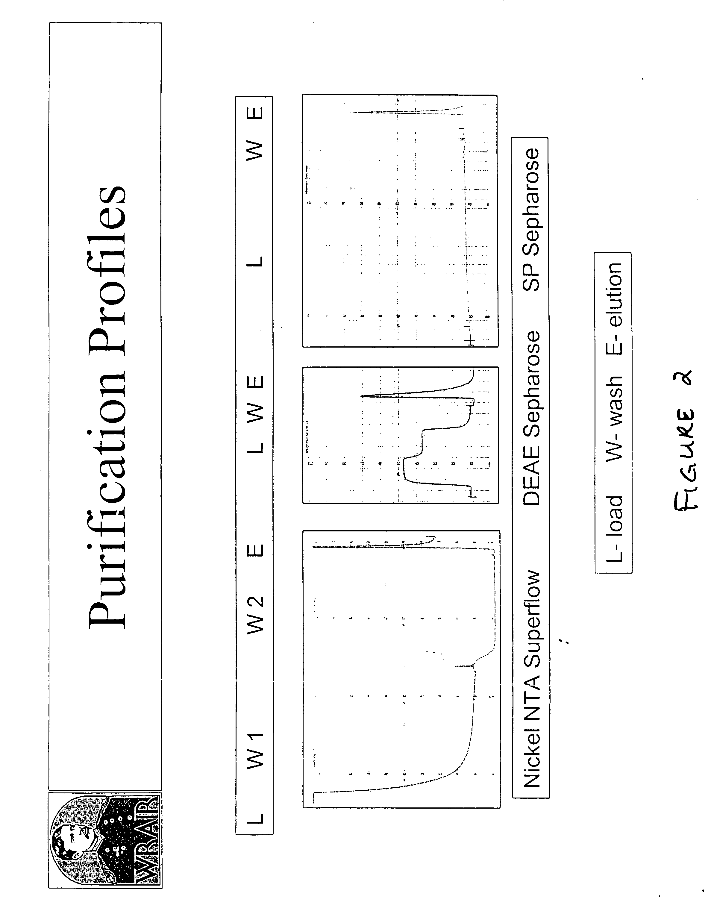 Expression, purification and uses of a Plasmodium falciparum liver stage antigen 1 polypeptide