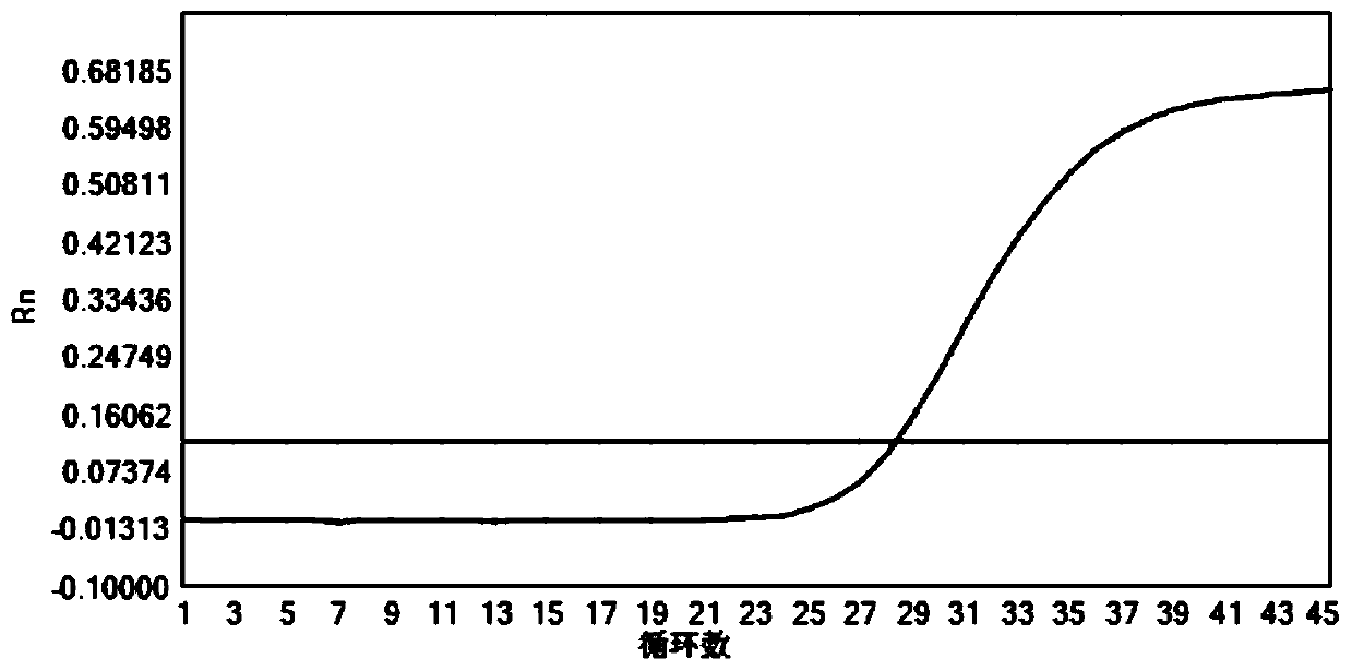 Oligonucleotide combination, method and kit used for mycobacterium strain identification