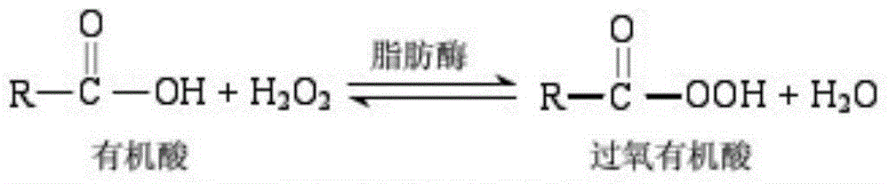 Method for preparing epoxidized soybean oil by using lipase catalysis