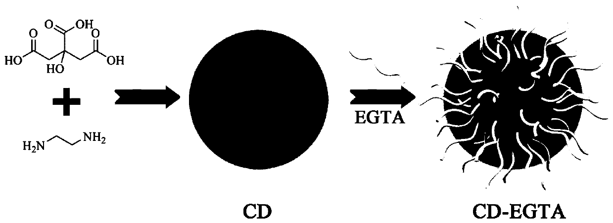 Carbon dot fluorescent probe for calcium ion detection, and preparation method thereof