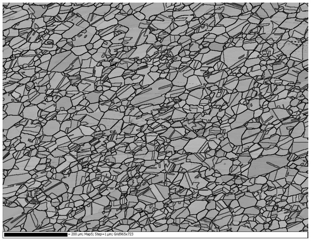 Preparation method of fatigue-resistant and hydrogen embrittlement-resistant plate for high-pressure hydrogen compressor diaphragm