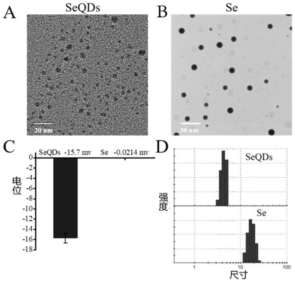 Preparation of traceable ultra-small nano-selenium and its application in Alzheimer's disease