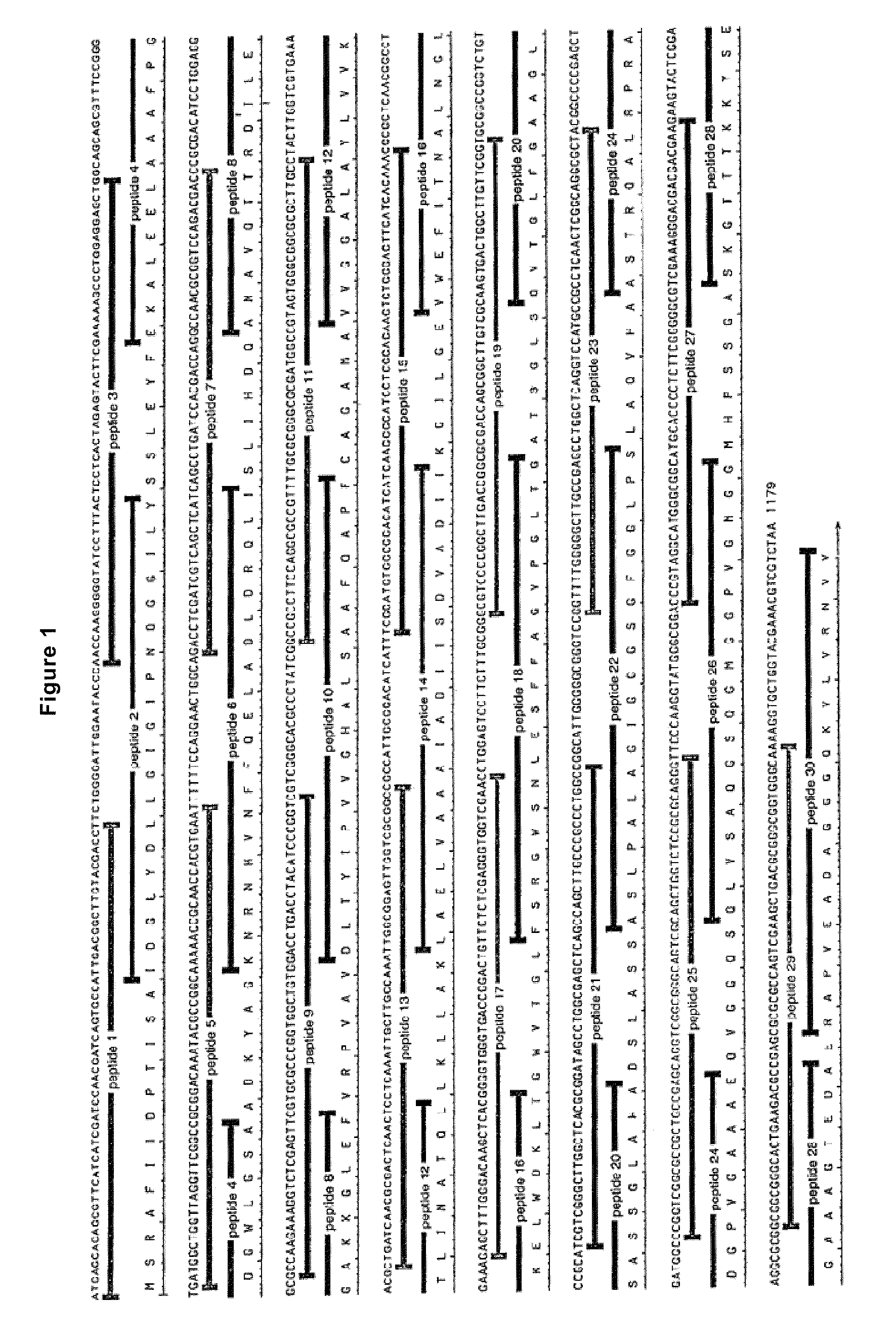 Modified antigens