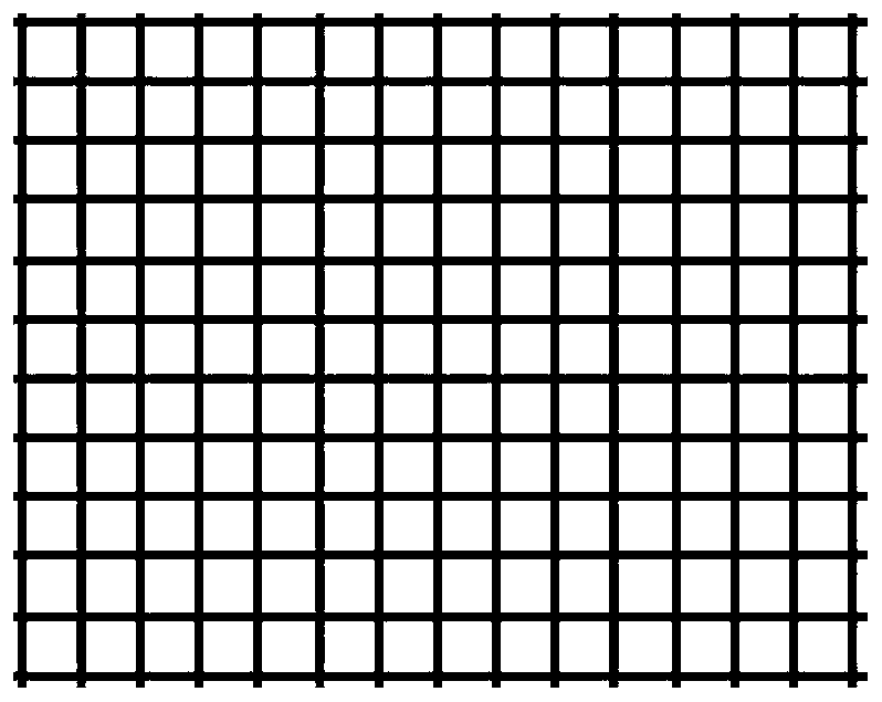 Catalyst coating film, fuel cell and preparation method of catalyst coating film