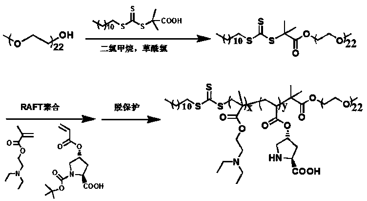 pH responsive block polymer immobilized with L-proline, and applications thereof