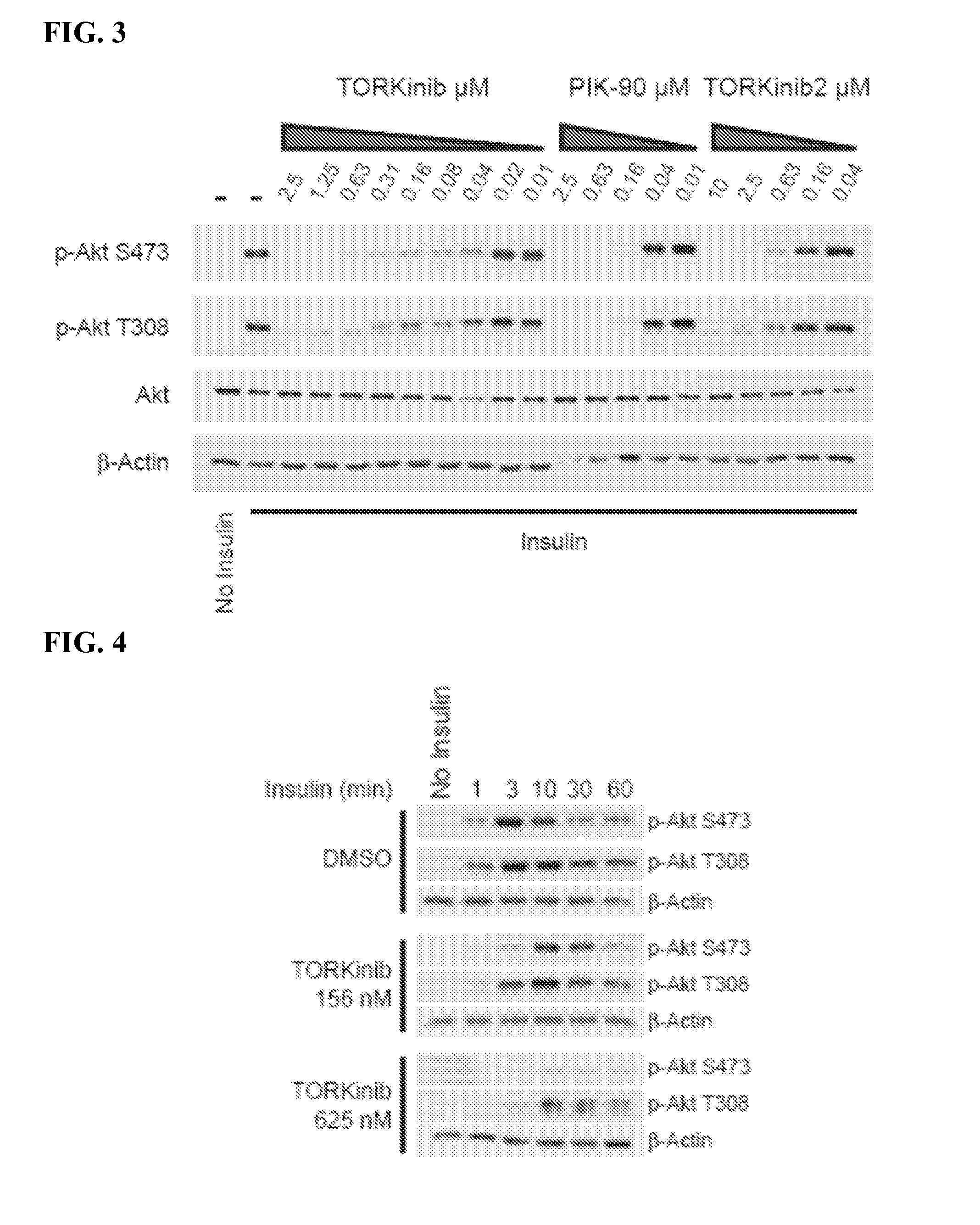 Mtor modulators and uses thereof