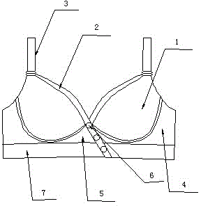 Steel-ring-free bra