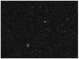 Testing apparatus for quantitatively characterizing wax crystal aggregation of wax-bearing crude oil and quantitative characterizing method of testing apparatus