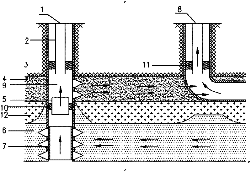 Method for producing oil by changing bottom water reservoir oil well into water dumping well and oil production well system