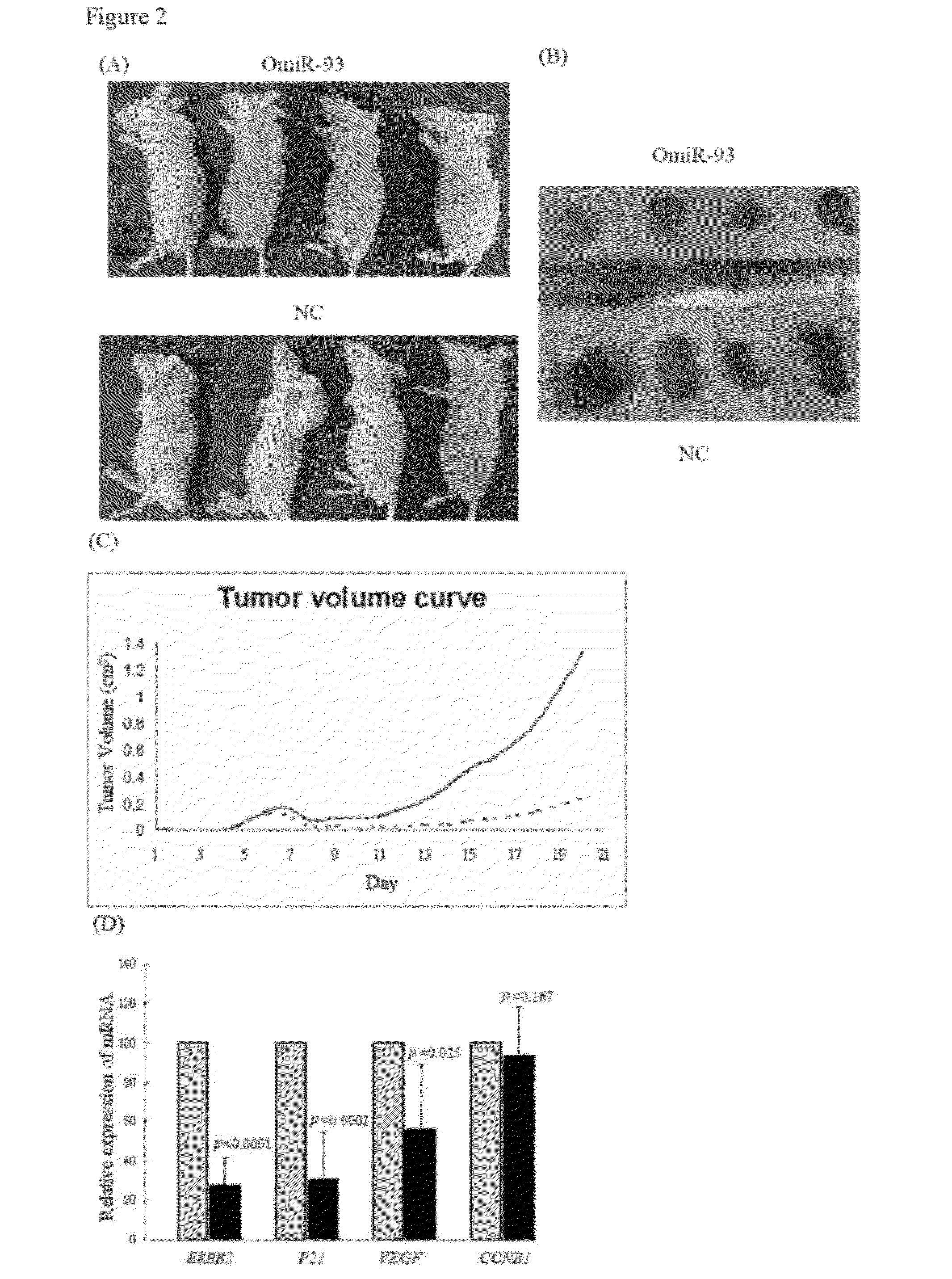 Microrna-based method for Anti-colorectal cancer effects and prognosis of colorectal cancer