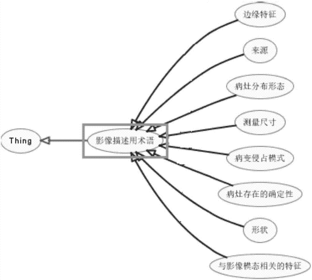 Structured report template-based medical image knowledge base establishment method