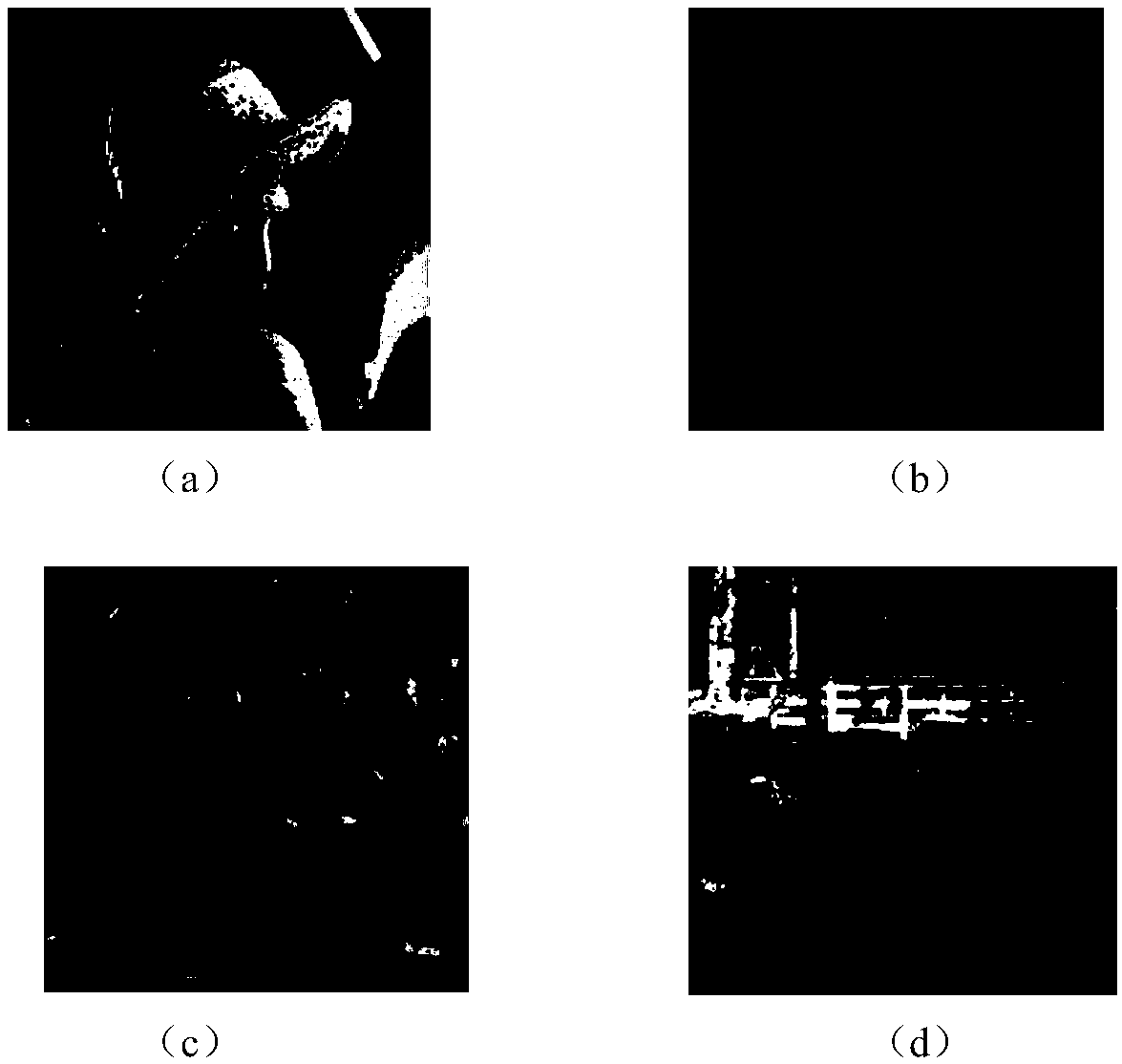 Image Steganography Method for Intelligent Mobile Terminal Based on Secret Information Encryption Preprocessing