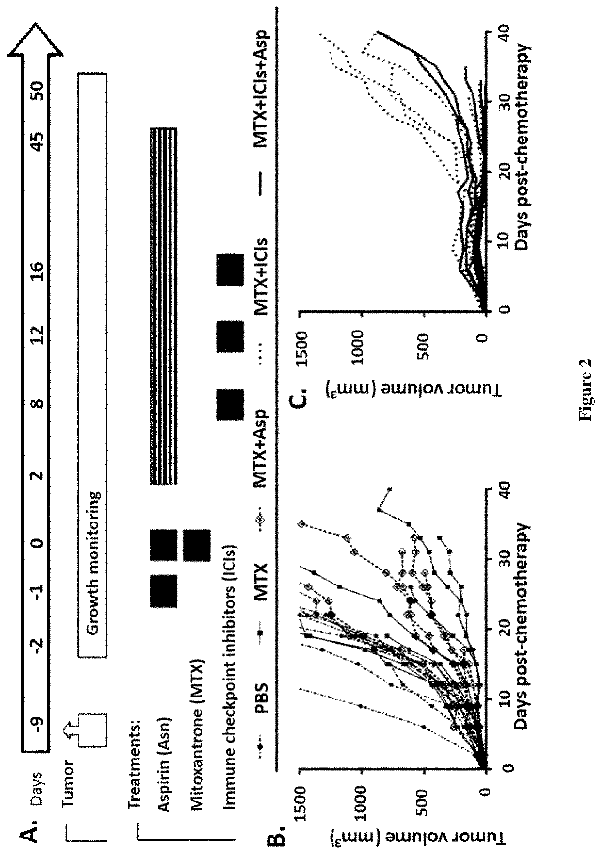 Use of caloric restriction mimetics for potentiating chemo-immunotherapy for the treatment of cancers