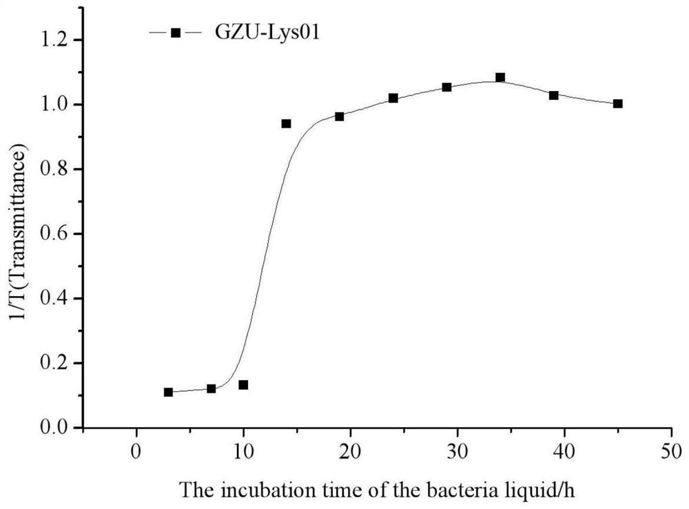 Preparation method of coal gangue microbial fertilizer