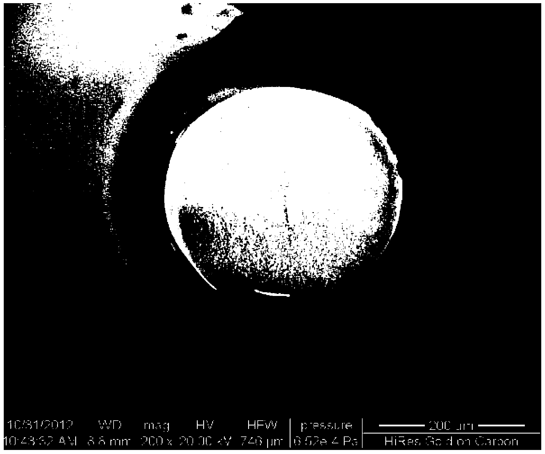 Hollow-fiber-film-coated molecular imprinting integral adsorption rod, as well as preparation method and application thereof