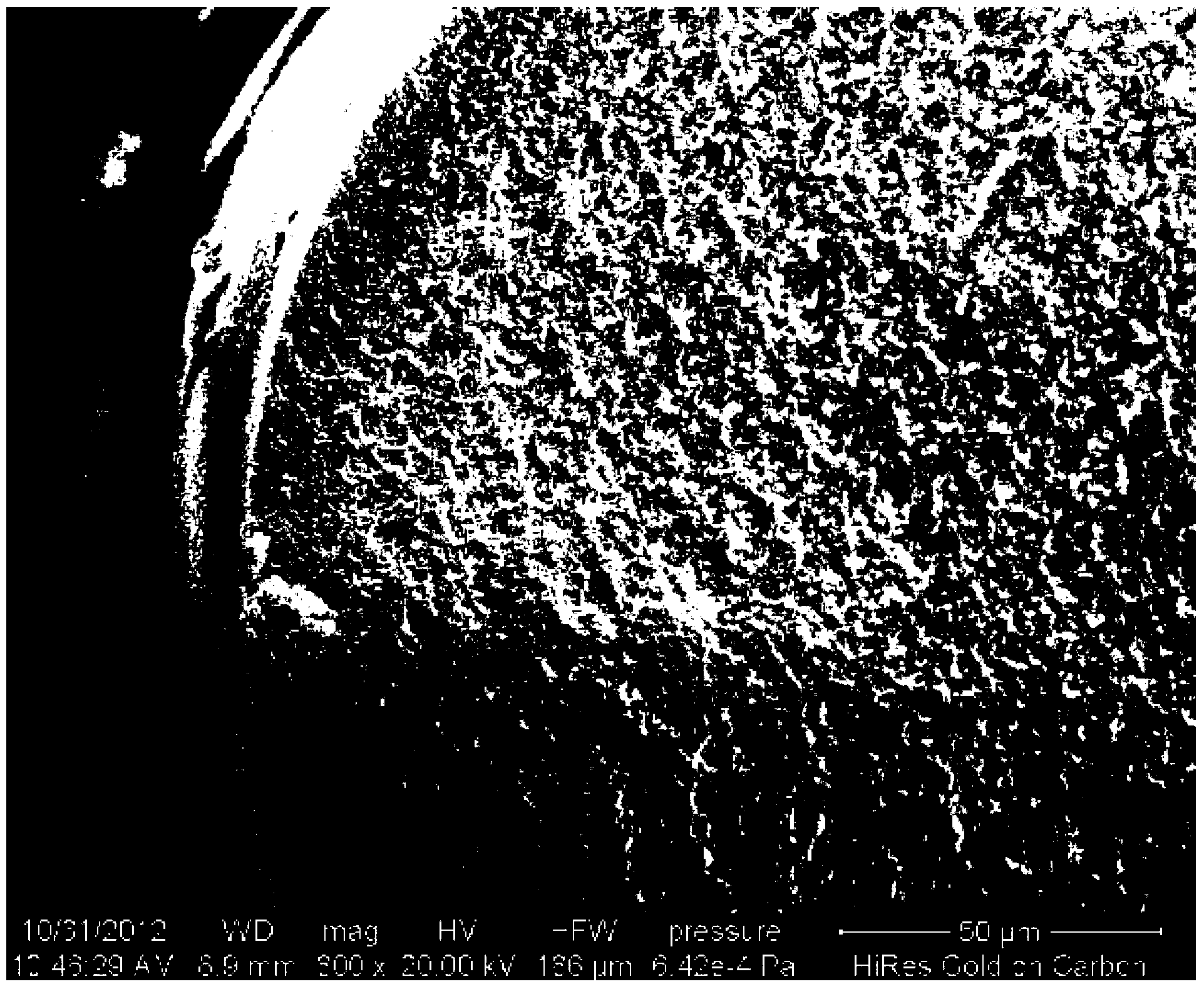 Hollow-fiber-film-coated molecular imprinting integral adsorption rod, as well as preparation method and application thereof