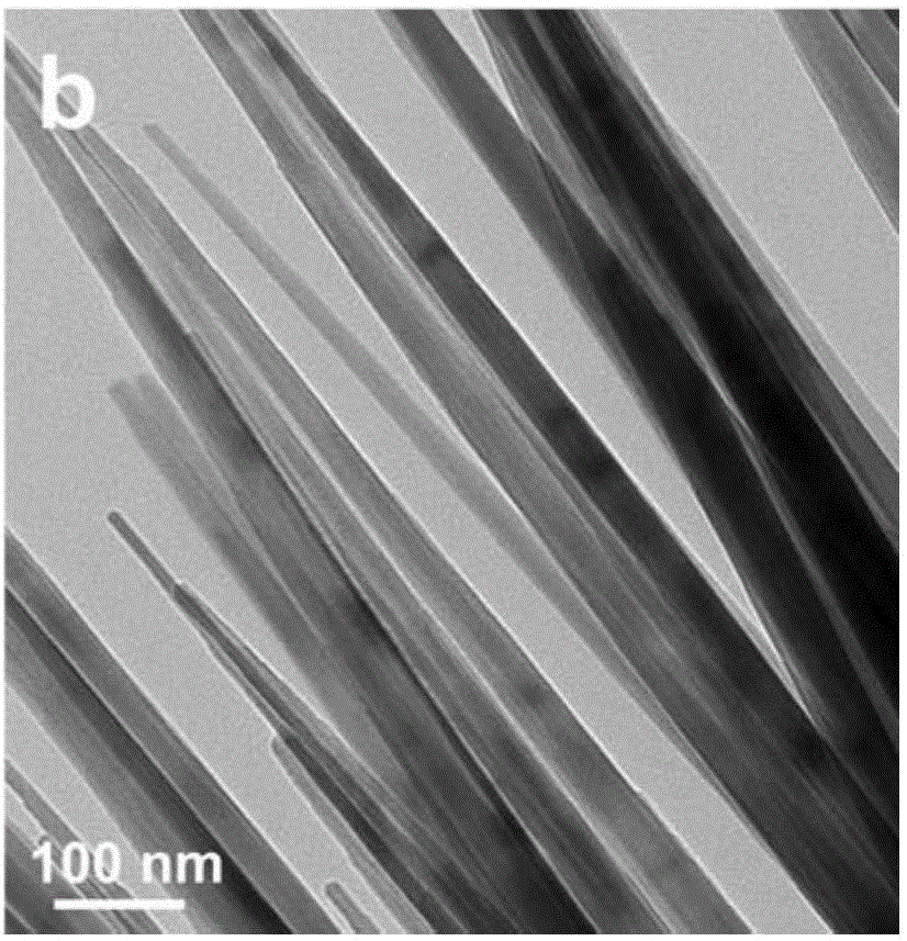 Three-dimensional porous urchin-like cobalt phosphide as well as preparation method and application thereof