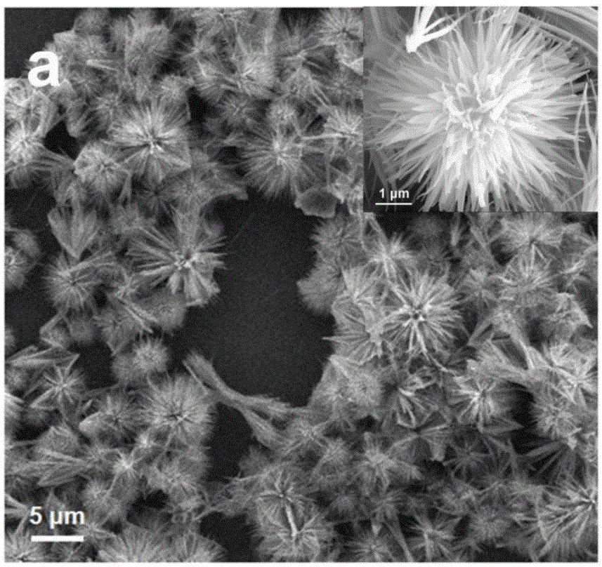 Three-dimensional porous urchin-like cobalt phosphide as well as preparation method and application thereof