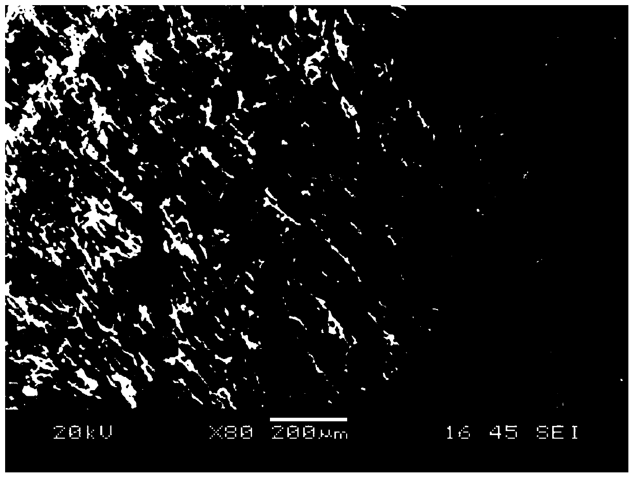 Bone cement based on bio-based polyurethane composite degradable material and preparation method thereof