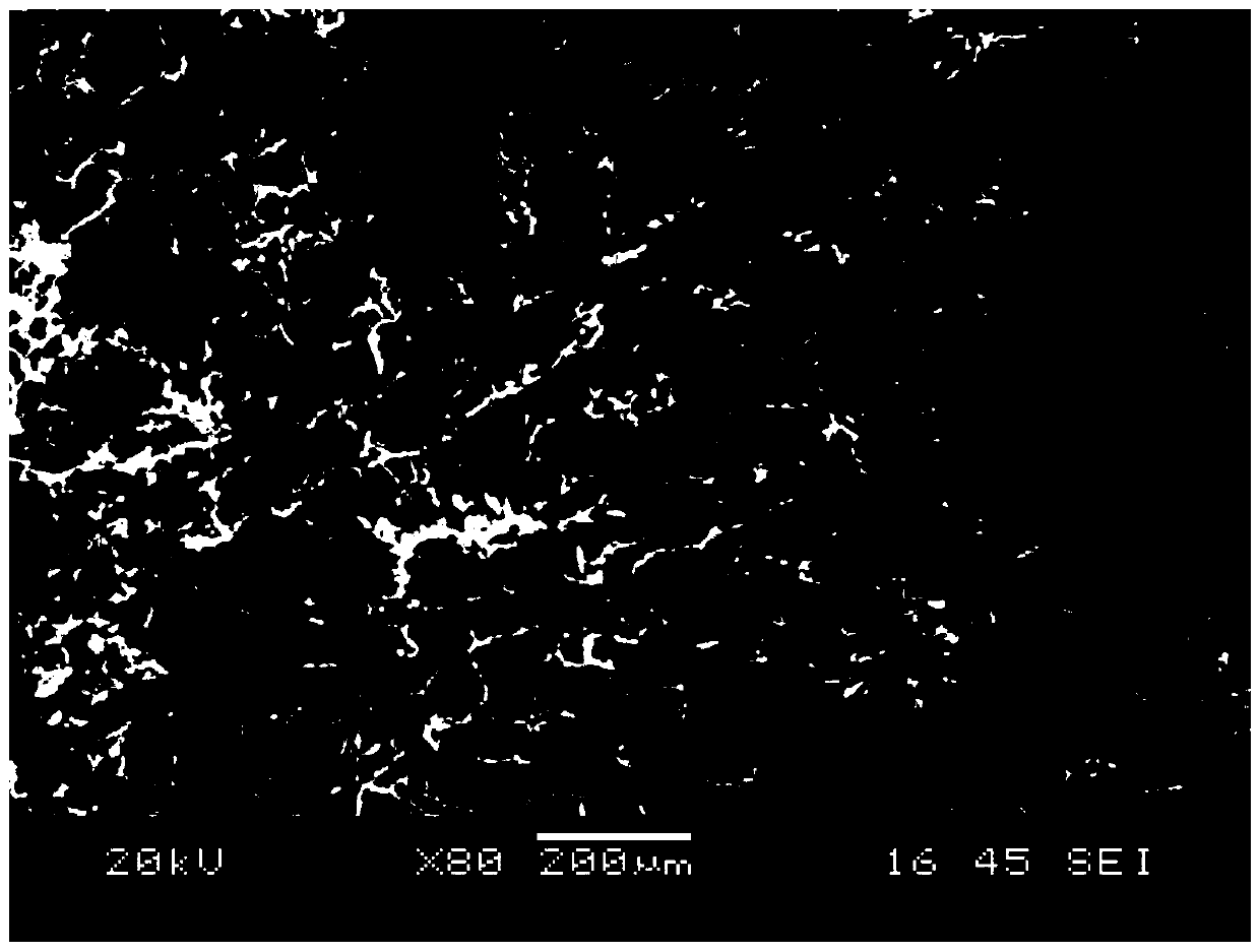 Bone cement based on bio-based polyurethane composite degradable material and preparation method thereof