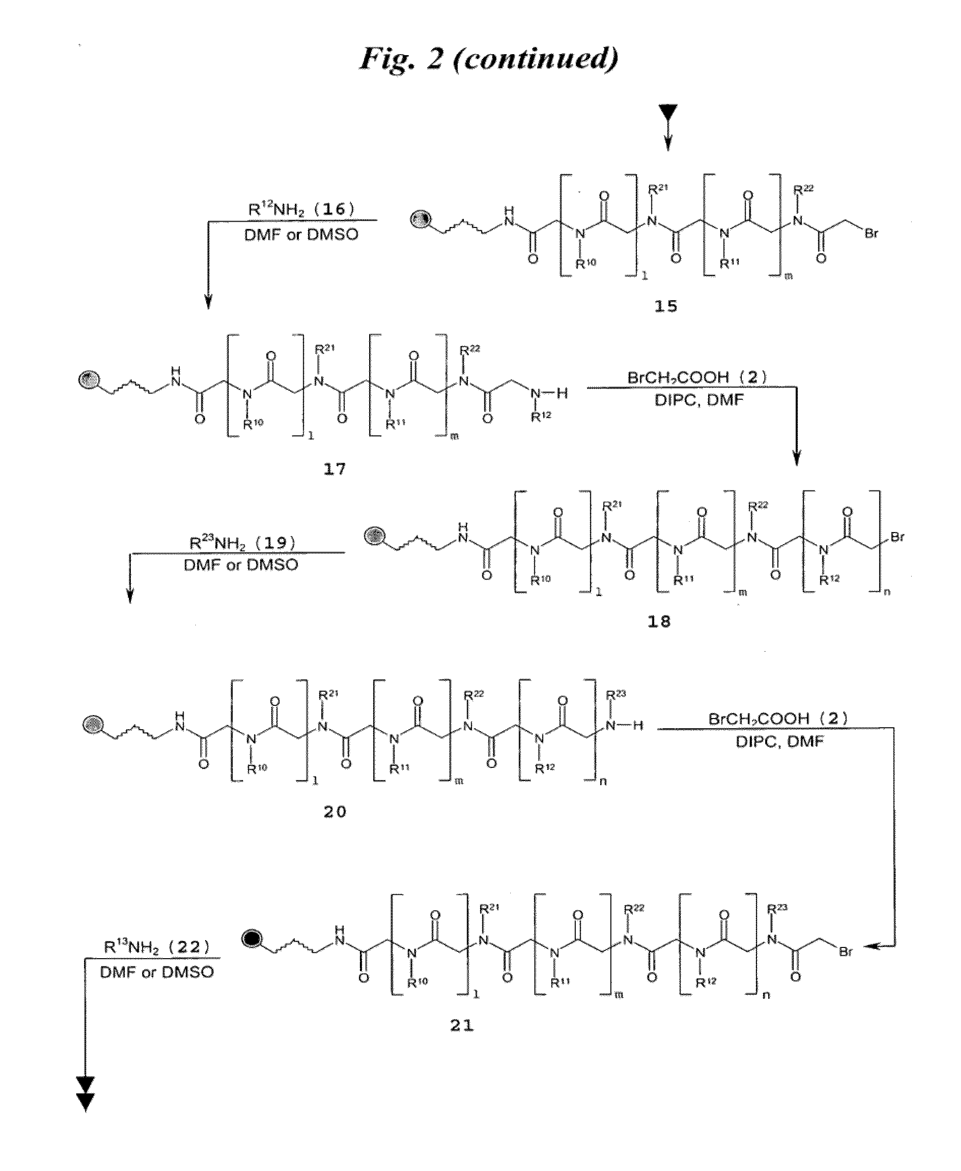 RNA targeting compounds and methods for making and using same