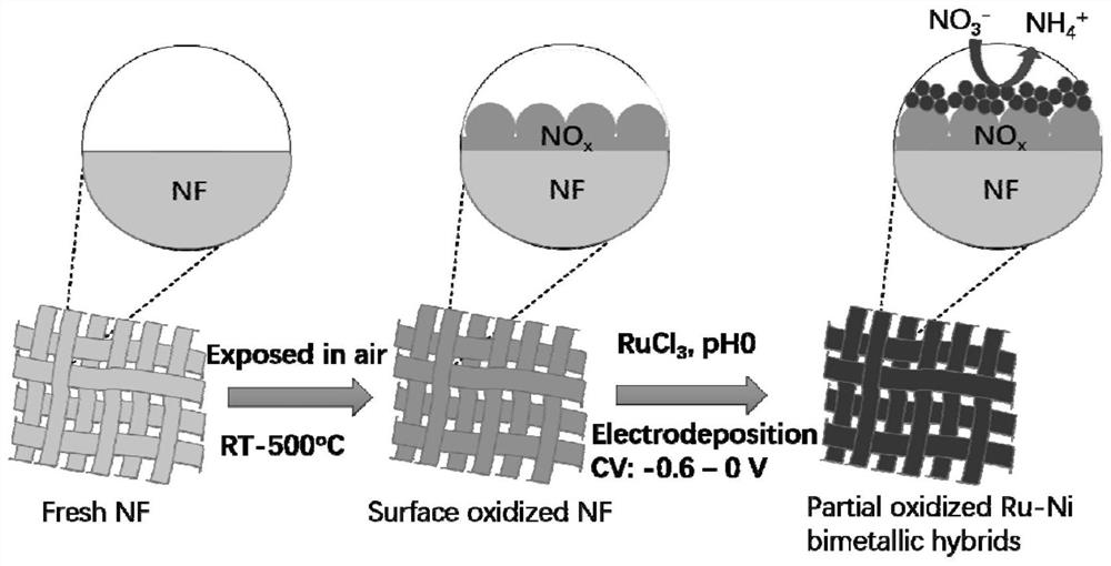 Catalyst for electrocatalytic reduction of nitrate as well as preparation method and application thereof