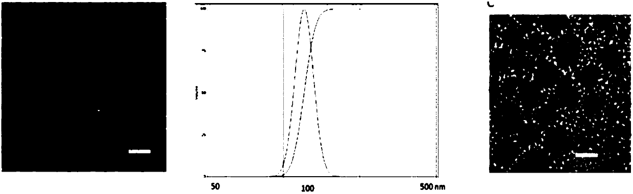 Compound nano preparation for treating T cell acute lymphoblastic leukemia, preparation method and application