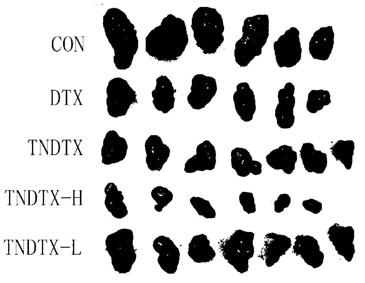 Tumor specific target polypeptide and application thereof