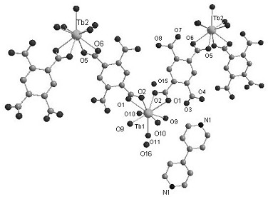 A kind of rare earth terbium (iii)-organic framework coordination polymer and its preparation method and application as luminescent material