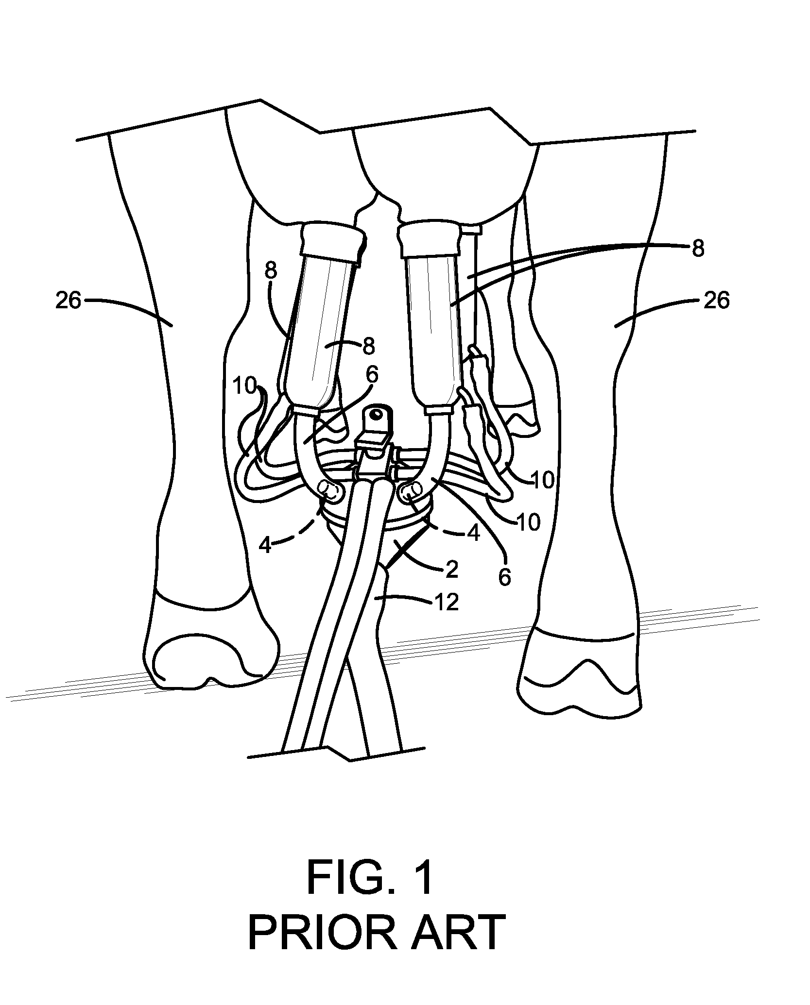 Dairy milking devices and methods