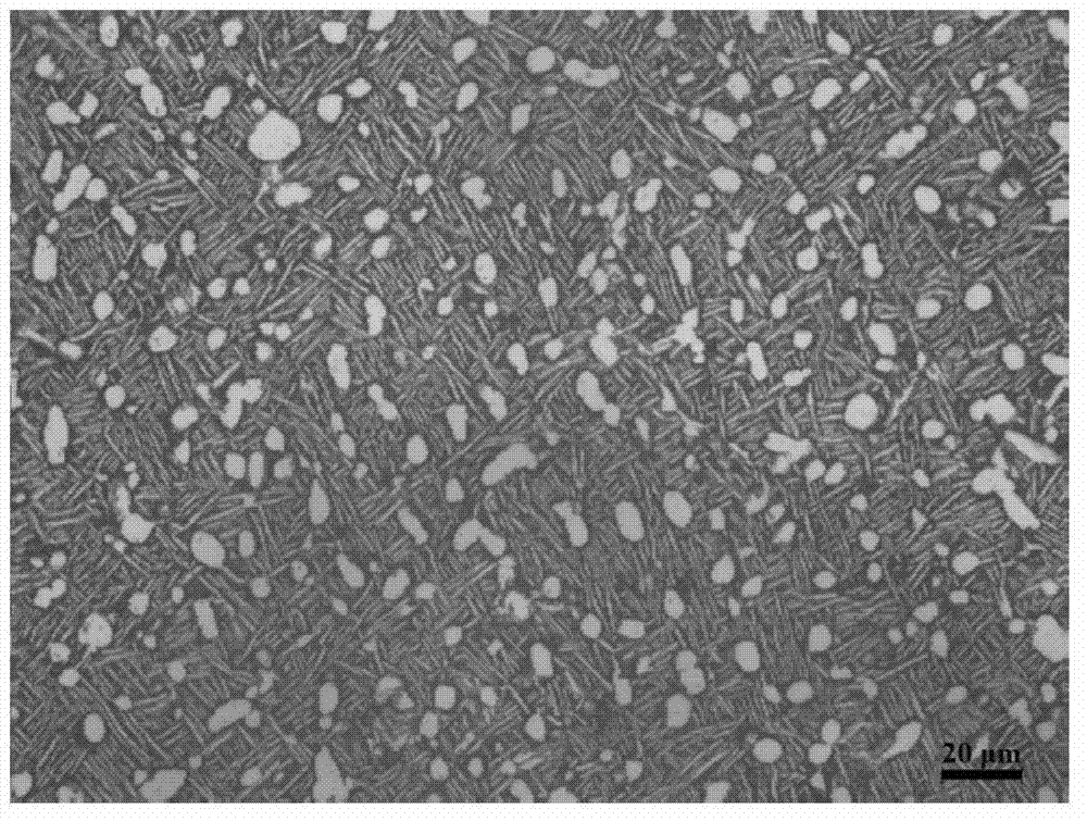 Isothermal forging method of TC17 titanium alloy disc-shaped forge piece