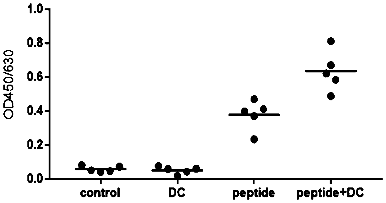 Chlamydiae-related antigen short chain polypeptide and application thereof