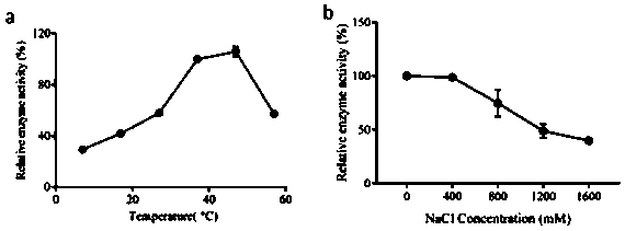 A bifunctional enzyme with wax ester synthesis activity and triglyceride synthesis activity, its encoding gene and application