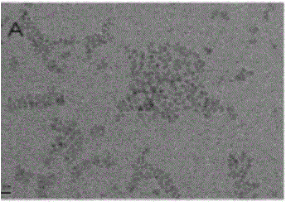 Preparation method of nano zinc oxide transparent ethanol solution