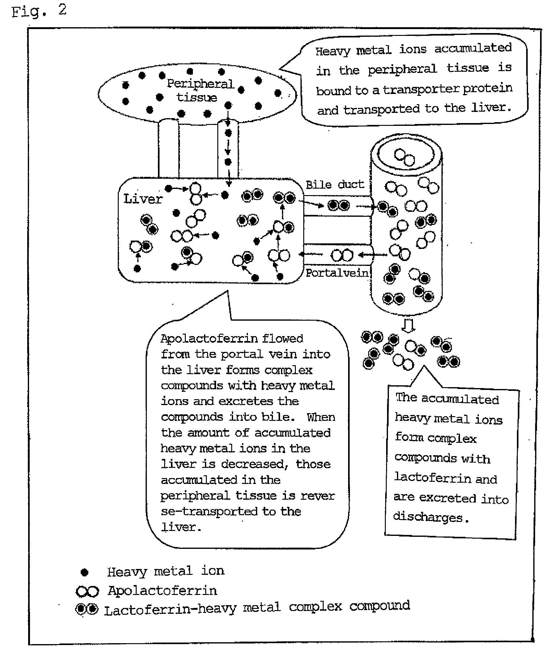 Agent for ameliorating heavy metal-induced disorders, and medicinal composition, food and cosmetic containing the same