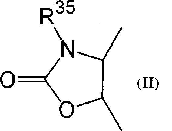 Macrolide derivatives