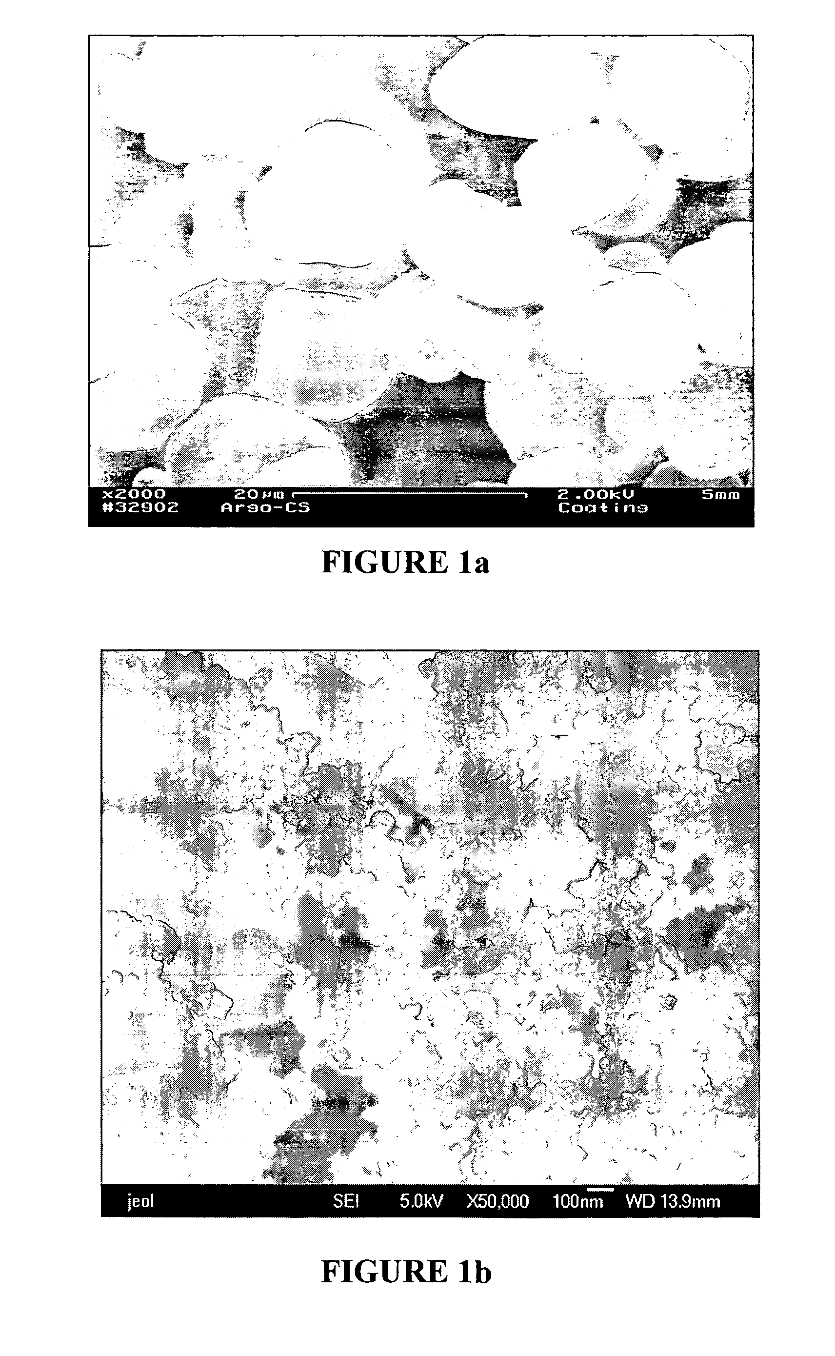 Dry coating and downstream processing of cohesive powders