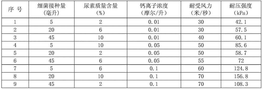 Method for solidifying sand by utilizing halotolerant bacteria