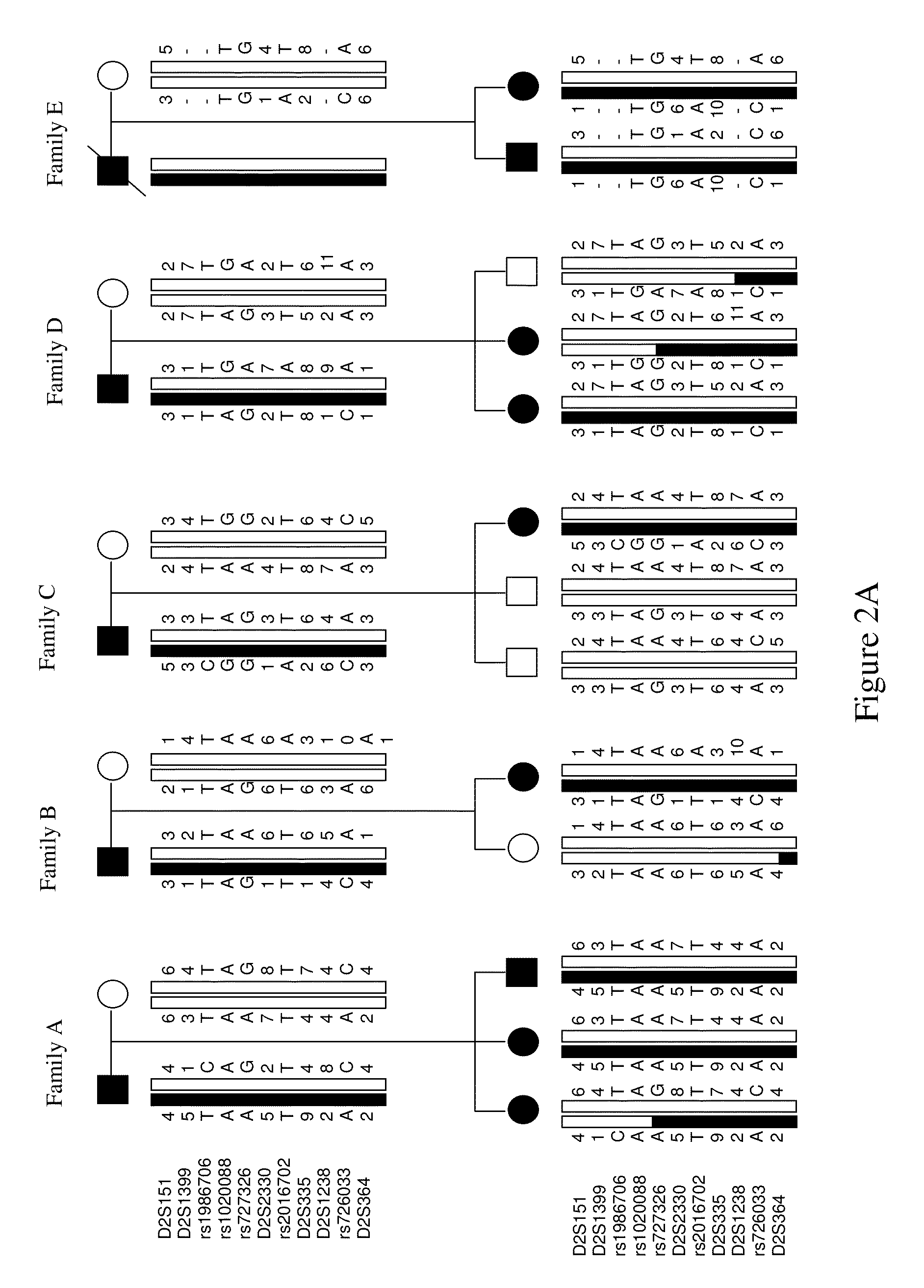 SIRNA-based therapy of Fibrodyplasia Ossificans Progressiva (FOP)