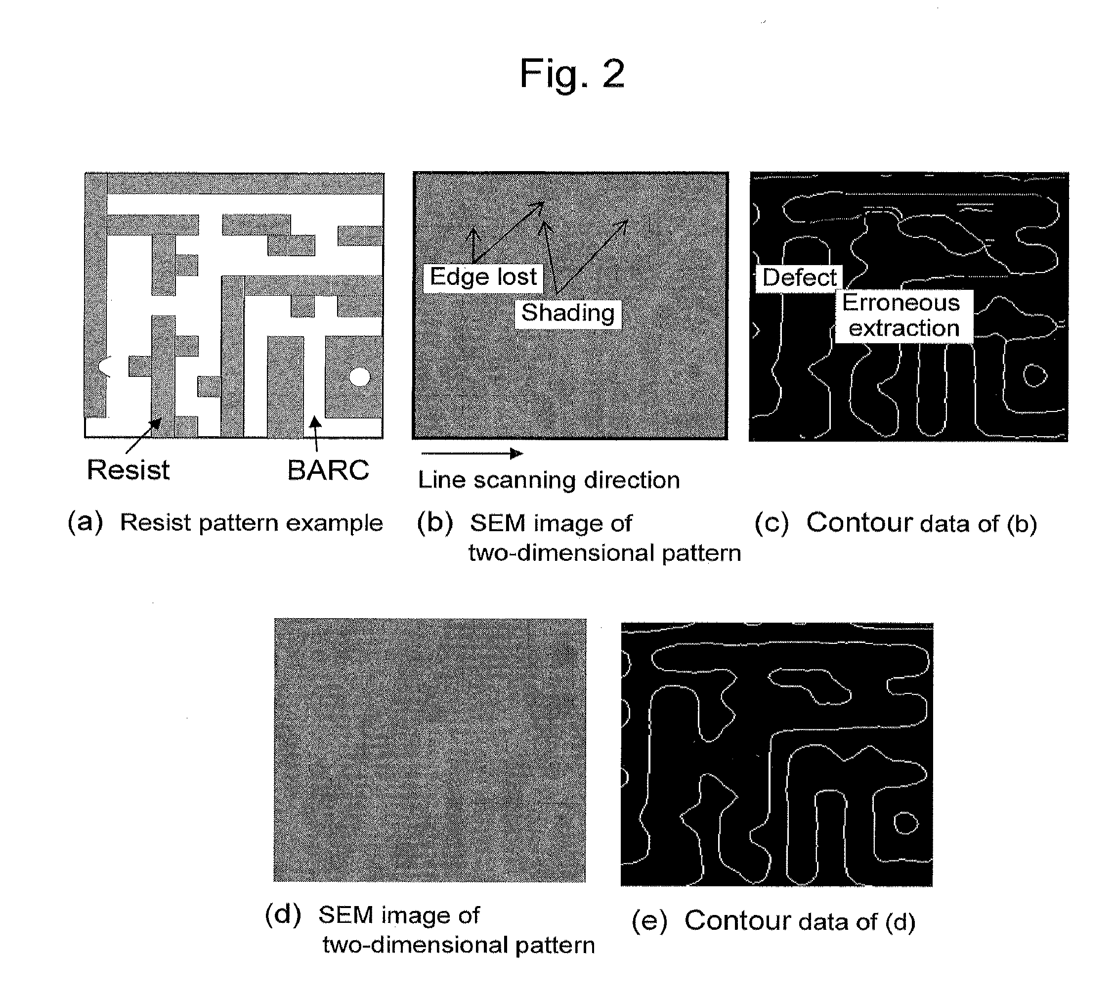 Scanning electron microscope and sample observation method