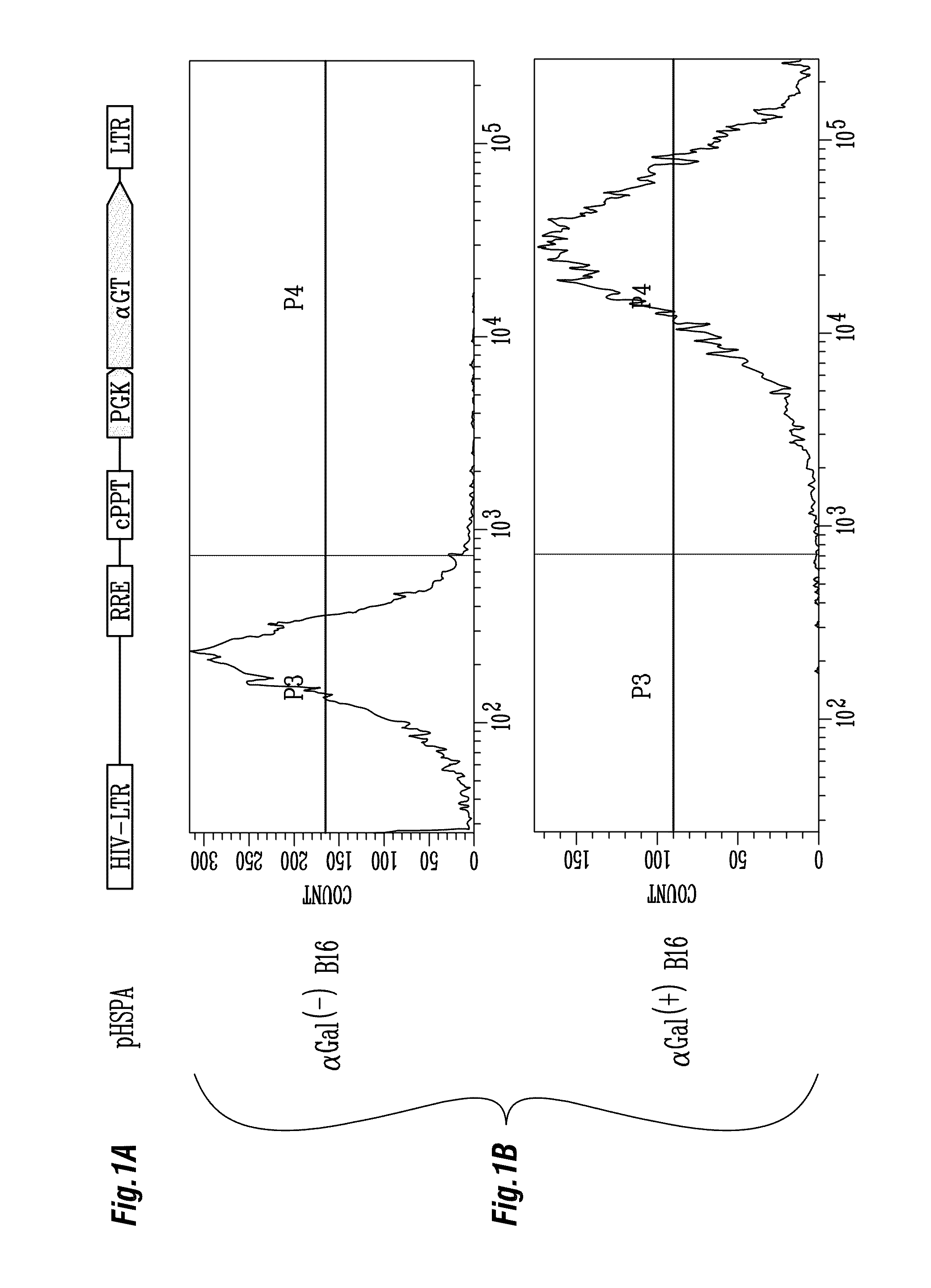 Enhanced immunogenicity of tumor associated antigens by addition of alphaGal epitopes