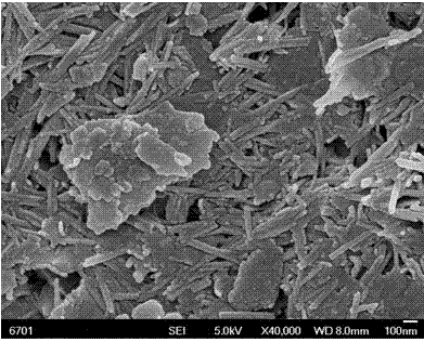 Hydrothermal method for preparing creamy white attapulgite