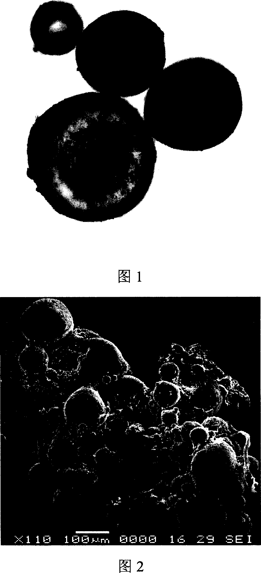 Glycopeptide conjugate microsphere or microcapsule and its preparation process