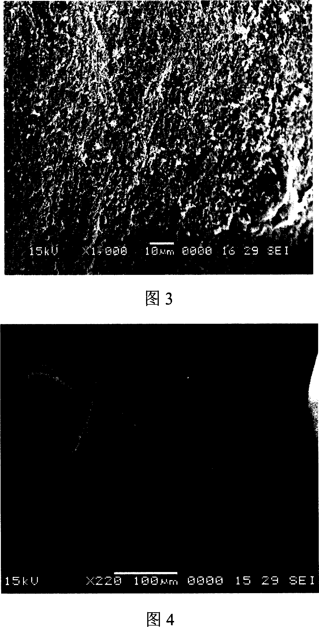 Glycopeptide conjugate microsphere or microcapsule and its preparation process