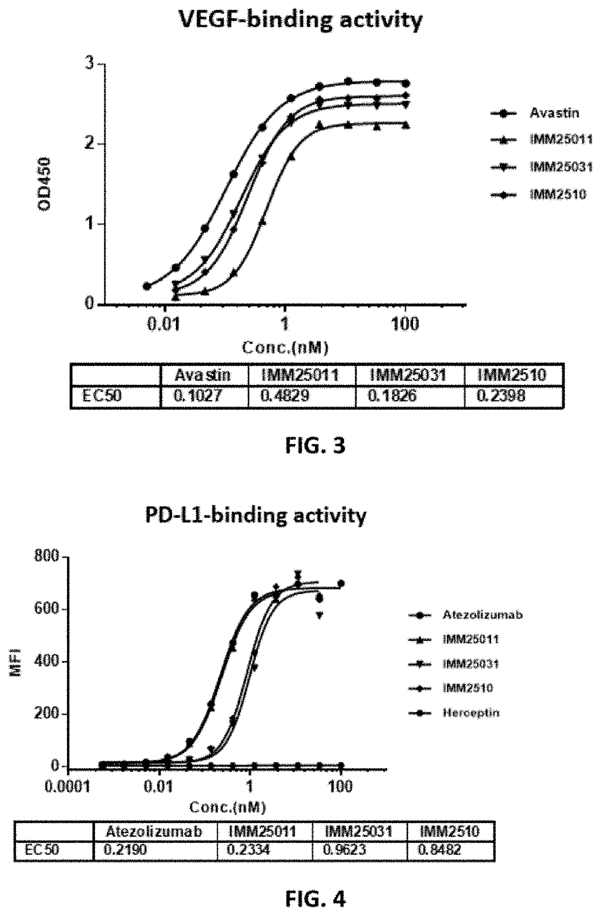 Recombinant protein targeting PD-L1 and VEGF