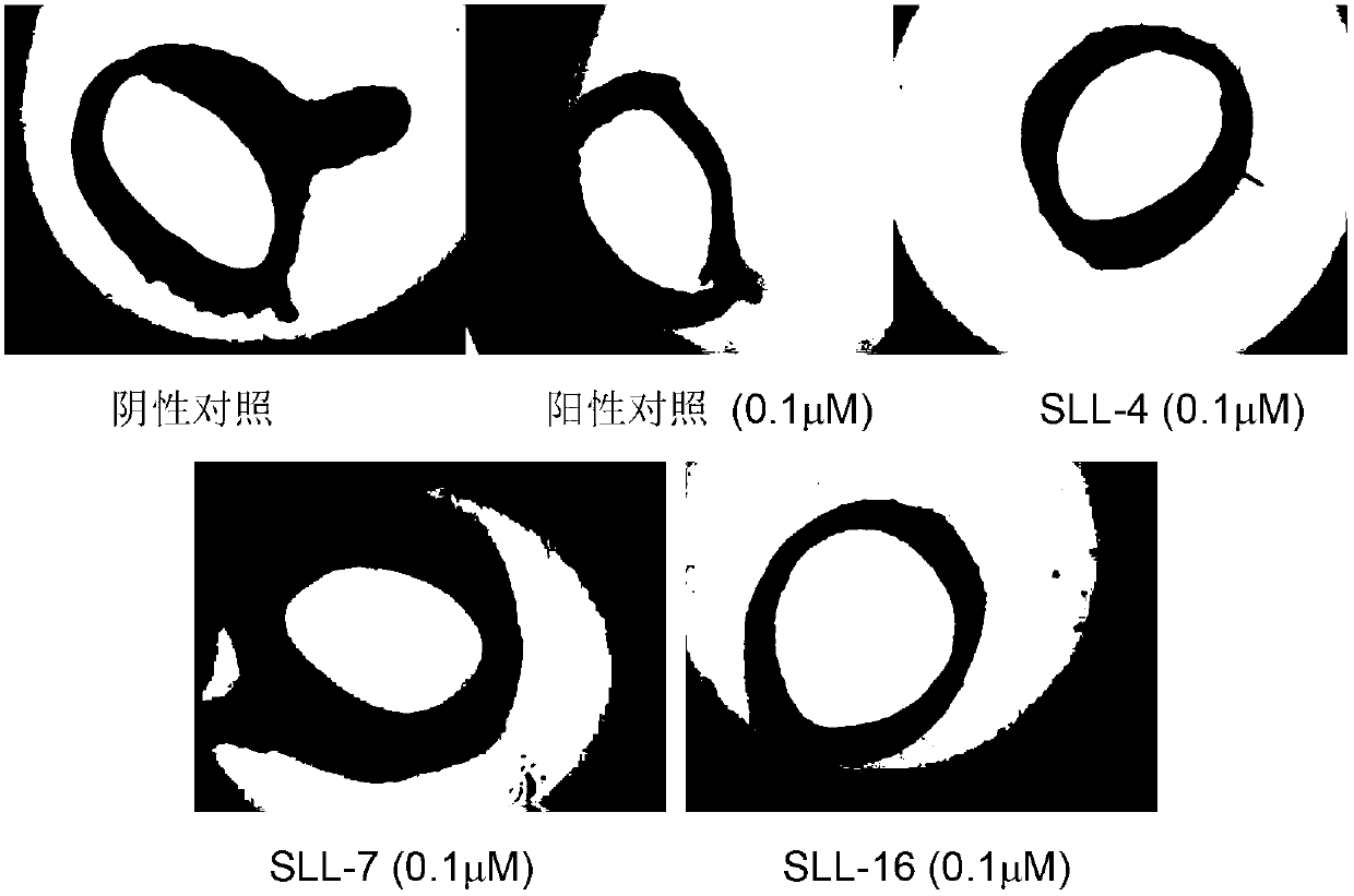 Quinoxaline keto-amide compound, preparation method and application thereof