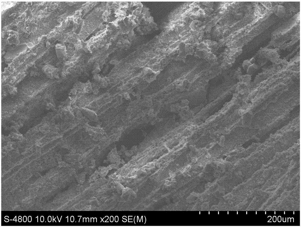 Method for preparing gradient directional porous cement based on two-phase pore former system freezing molding technology