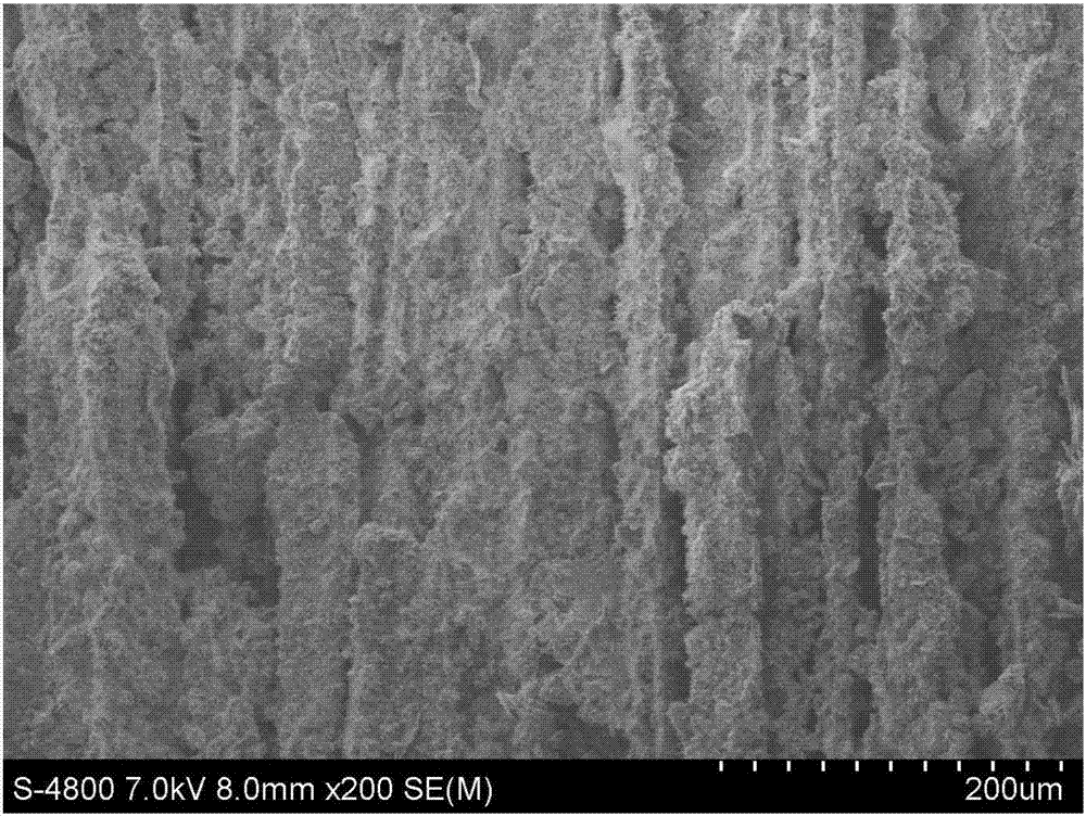 Method for preparing gradient directional porous cement based on two-phase pore former system freezing molding technology