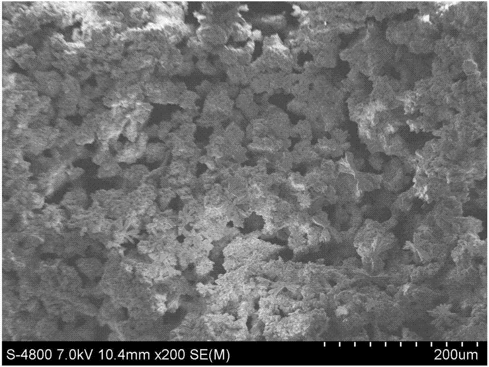 Method for preparing gradient directional porous cement based on two-phase pore former system freezing molding technology